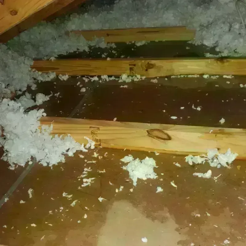 Attic Water Damage in Greenland, AR