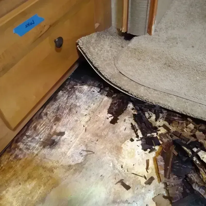 Wood Floor Water Damage in Greenland, AR